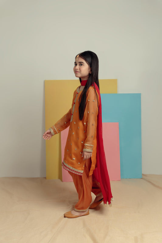 Mustard Magic - Embroidered Shalwar Kameez