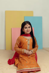 Mustard Magic - Embroidered Shalwar Kameez