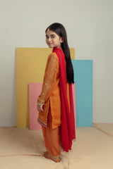 Mustard Magic - Embroidered Shalwar Kameez