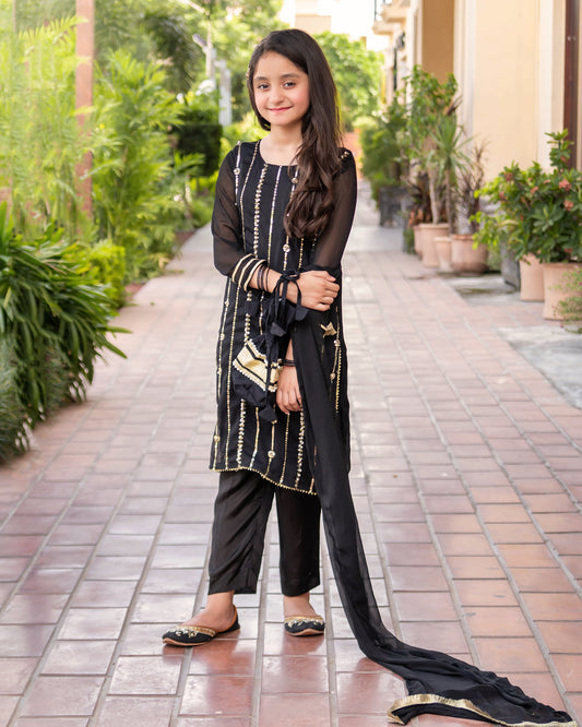 Night Spark- Black Chiffon Embroidered Set